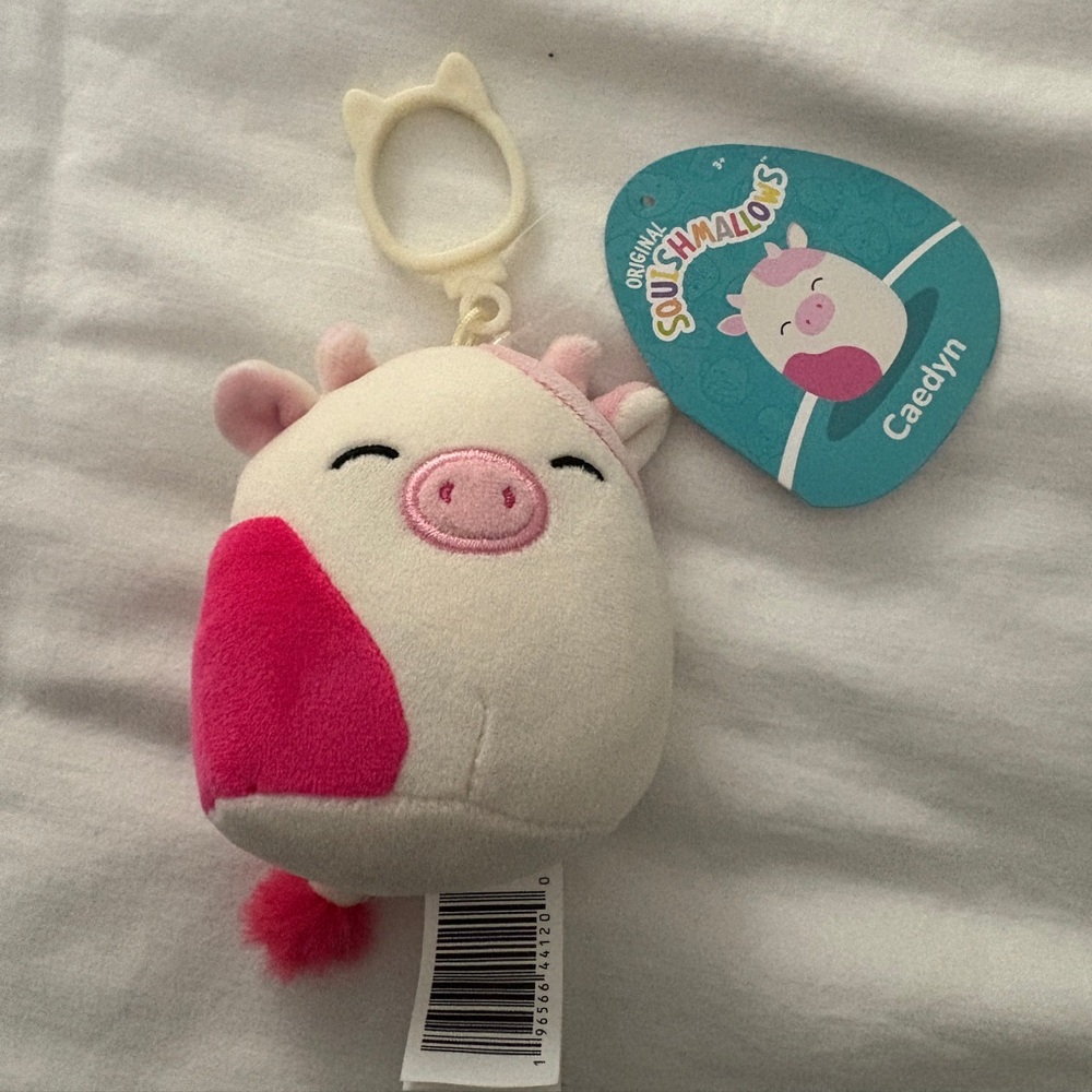 Caedyn Clip On Squishmallow